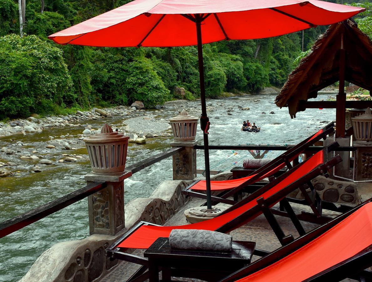 Ecotravel Cottages Bukit Lawang Exterior foto